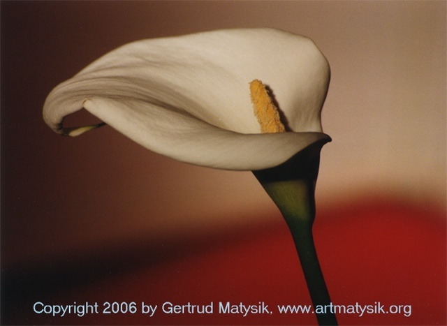 Artist Gertrud Matysik. 'Motive From Flora 0002' Artwork Image, Created in 1996, Original Painting Oil. #art #artist