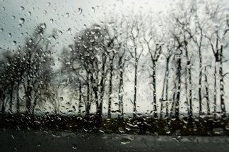 Marilyn Nosewicz: 'Spring Rain Trees Black And White Photograph', 2010 Black and White Photograph, Abstract Landscape.      For The past decade I have been photographing this set of Trees all seasons, all weather. Again Photographed in the spring looking through a train drop window, my Trees. Black and White Photograph. Please Email Me for any questions.     ...