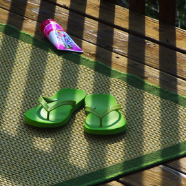 Green Flipflops On The Waterfront, C. A. Hoffman