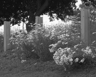 C. A. Hoffman: 'In Daisy Heaven', 2010 Black and White Photograph, Landscape.    This is an original photo that has been digitally- painted to create an original work of art.                                                                                   ...