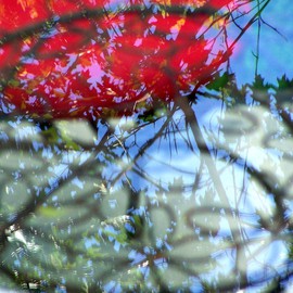 C. A. Hoffman: 'Red Reflection I', 2008 Color Photograph, Abstract Figurative. 