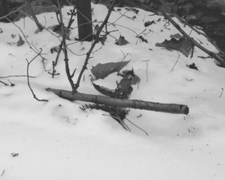 C. A. Hoffman: 'Winters Sniper', 2009 Black and White Photograph, Landscape.                This is an original photo that has been digitally painted to create an original piece of art.        This s an original photo that has been digitally- painted to create an original piece of art.       ...