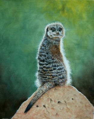Stephen Powell: 'Meerkat', 2007 Oil Painting, Wildlife.  Meerkat on lookout soaking up the sun  ...
