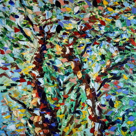 alberi e luce By Antonino Puliafico