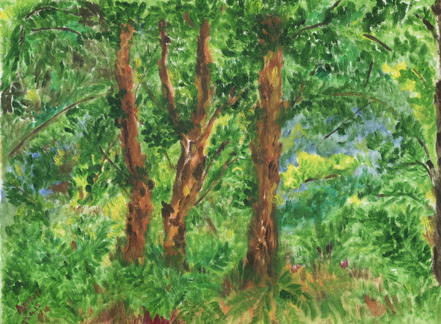 Amrita Banerjee  'Waiting In The Woods', created in 2007, Original Painting Acrylic.