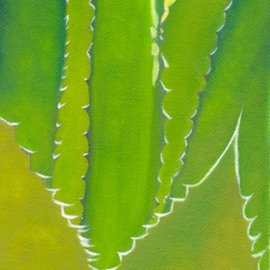 Yiqi Li: 'Cactus 2', 2008 Oil Painting, Botanical. Artist Description:  The painting is in realism style and it is original oil on canvas. It is signed by artist. ...