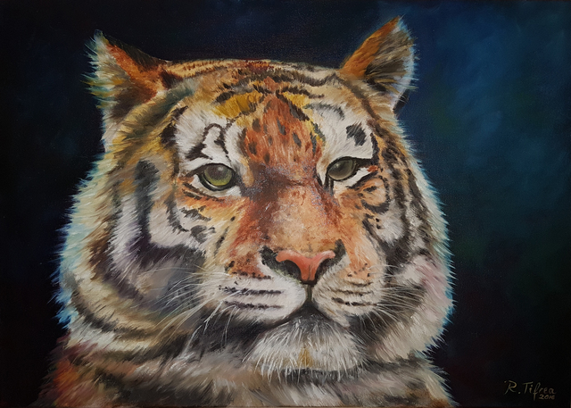 Artist Raluca Tifrea. 'Tiger' Artwork Image, Created in 2016, Original Painting Oil. #art #artist
