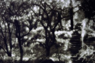 Anatoly Raspopov: 'Jardin', 2012 Black and White Photograph, Psychic.    Pure photography without any digital processing  ...