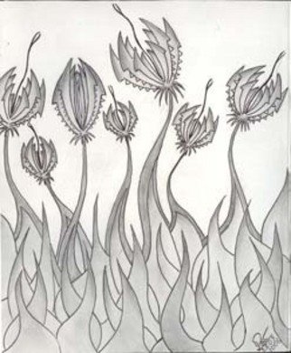 Raymond Shumeliov: 'Flowers Predators', 2007 Pencil Drawing, Abstract. 