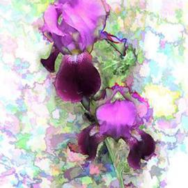 Richard Montemurro: 'IRIS', 2006 Other Photography, Abstract. Artist Description: A digital photograph manipulated to resemble a painting, drawing or sketch- - your choice....