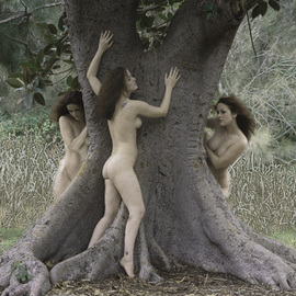 By Rowanmacs Rowanmacs: 'In The Woods There Grew A Tree', 2004 Color Photograph, Mythology. 