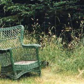 Ruth Zachary: 'Green Afternoon', 2000 Color Photograph, Americana. Artist Description: Classic green painted wicker chair waiting for you.  Its August: a slight breeze breaks the heat, and a butterfly is hovering near by.  Vibrant colors, textures, detail. Monhegan Island, Maine ( Limited edition, signed and numbered. 11 x 14 image in a 16 x 20 acid free mat. Smaller ...