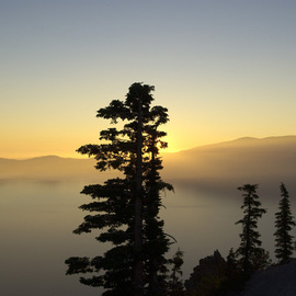 Ralph Andrea: 'Misty Sunrise', 2002 Color Photograph, Landscape. Artist Description: Crater Lake National Park, Oregon, USA.The sun rises above a misty lake rim behind a Mountain Hemlock. This exquisite shot was taken along the rim trail to Discovery Point.Digital Photograph - Light Jet Print on Fujifilm Crystal Archive Paper...