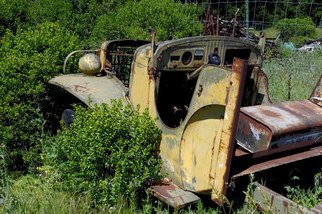 Ralph Andrea: 'Old Truck', 2005 Color Photograph, nature. California, USA.An old truck is gradually being reclaimed by nature.Digital Photograph - Light Jet Print on Fujifilm Crystal Archive Paper...