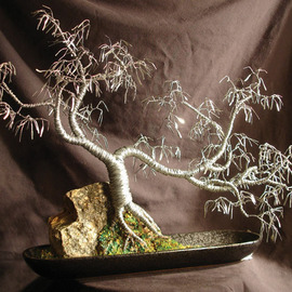 Sal Villano: 'Cascade Number  3,  Wire Tree Sculpture ', 2007 Mixed Media Sculpture, Landscape. Artist Description:  Cascade # 3 - Wire Tree Sculpture Created using 20, 24, 26 gauge galvanized steel wire. 15