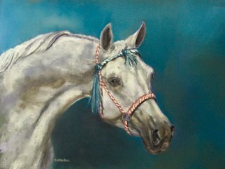 Sallyann Mickel: 'Basquel', 2007 Pastel, Animals. Pet Portrait SamplePastel head portrait of an Arabian horse ...