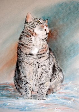 Sallyann Mickel: 'Puffy', 2008 Pastel, Animals.  Pastel and pen and ink rendering of a gray domestic short- haired cat sitting on a quilt. ...