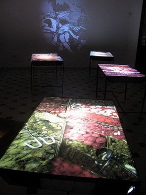 Sandra Ramos: 'The dream of reason', 2009 Indoor Installation, Undecided. 