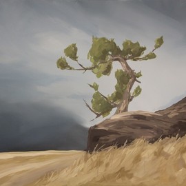 Scott Mackenzie: 'looking west', 2020 Oil Painting, Trees. Artist Description: Looking West features an ancient Limber Pine perched atop a rocky outcrop, weathered through the years but still standing tall overlooking the mountains. ...