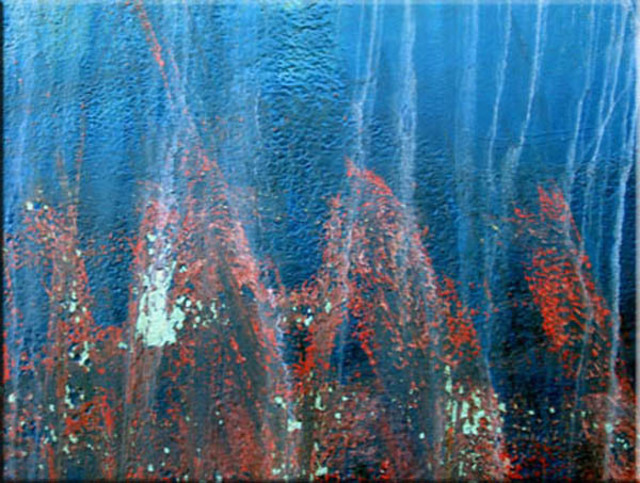 Artist Klaus Lange. 'Coralworld' Artwork Image, Created in 2006, Original Photography Cibachrome. #art #artist