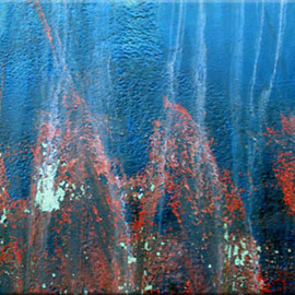 Klaus Lange: 'Coralworld', 2006 Cibachrome Photograph, Abstract. 