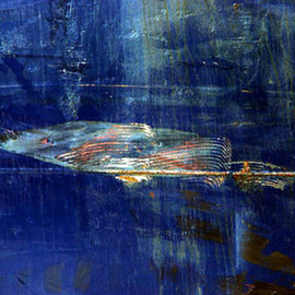 Klaus Lange: 'Jonahfish', 2006 Color Photograph, Abstract. 