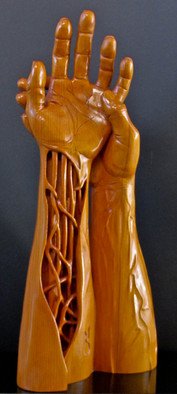 Michael Semsch: 'Wound', 1993 Wood Sculpture, Abstract Figurative.  Wound was inspired by a carving accident, during which I gauged the palm of my left hand. While studying the wound I envisioned my whole arm being sliced open. ...