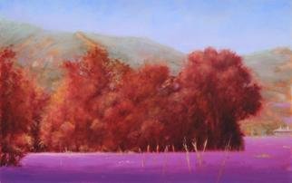 Shanee Uberman: 'A DAY IN THE FIELD', 2013 Oil Painting, Landscape.  The lavender fields of spring.        ...