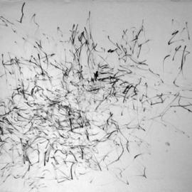 the order of chaos By Richard Lazzara
