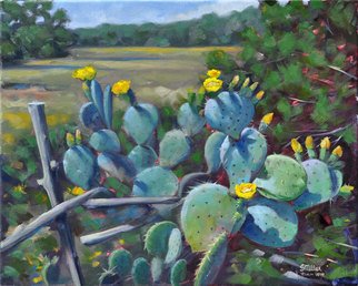 Steve Miller: 'Cactus Spring', 2010 Oil Painting, Western.  Western cactus hill country texas prickly pear blossom ranch landscape ...