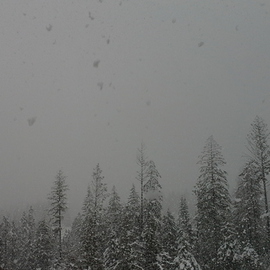 Debbi Chan: ' Idaho snow up close', 2012 Color Photograph, Beauty. Artist Description:    Photos from Idaho.   ...