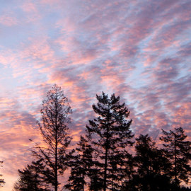 Debbi Chan: 'awe morning', 2010 Color Photograph, Beauty. Artist Description:        photos from Idaho.                                                                                                                       ...