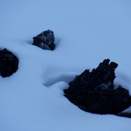 Debbi Chan: 'face in snow or not', 2012 Color Photograph, Beauty. Artist Description:    PHOTOS FROM IDAHO.                                                                                                                                                                                                                                                                                                                                                                                                                                                                                                            ...