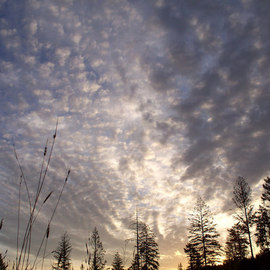 Debbi Chan: 'morning dawns', 2010 Color Photograph, Beauty. Artist Description:          photos from Idaho.                                                                                                                         ...