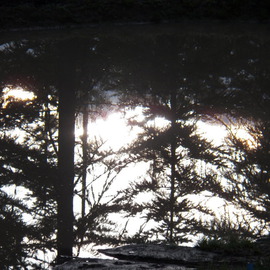 Debbi Chan: 'morning shines in my little pond', 2012 Color Photograph, Beauty. Artist Description:   photos from idaho.                ...