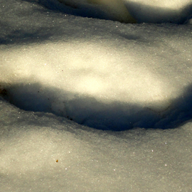 Debbi Chan: 'snow art', 2012 Color Photograph, Beauty. Artist Description:      photos from Idaho.           ...