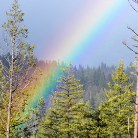 Debbi Chan: 'such beauty', 2012 Color Photograph, Beauty. Artist Description:    photos from Idaho.   ...