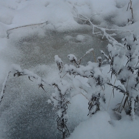 Debbi Chan: 'winter with a camera', 2012 Color Photograph, Beauty. Artist Description:   Photos from Idaho.  ...