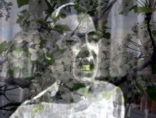 Stephen Mead: 'Billie Reflecting Excerpt', 2009 Mixed Media, Movies. PRINT ONLY.  Billie ReflectingExcerpt is a photomerge film still from a film which can be seen in on YouTube.  It is part of a series of collage- films begun in 2007.  The work is available as a print. ...