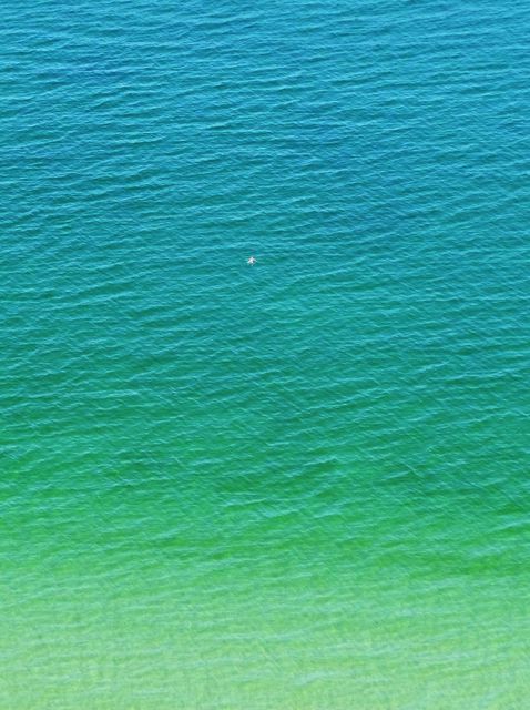Steve Scarborough  'Swim Dot', created in 2015, Original Photography Digital.