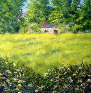 Stuart Parnell: 'Barn and Buttercups', 2007 Acrylic Painting, Landscape.  An early summer landscape depicting an old   barn in mid Wales, across a meadow of buttercups and cow parsley in the foreground. ...