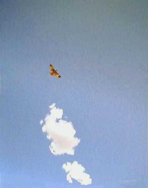 Artist Sue Jacobsen. 'Red Tail Hawk' Artwork Image, Created in 2004, Original Painting Acrylic. #art #artist