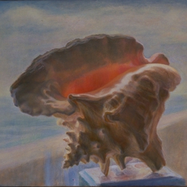 Sofia Wyshkind: 'DreamingShell', 1996 Oil Painting, Still Life. 
