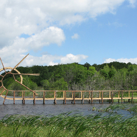 Tanya Preminger: 'Back Flip Bridge', 2009 Wood Sculpture, Landscape. 