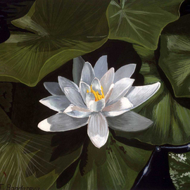 Tatyana Bondareva: 'White Water Lily', 2010 Other Painting, Floral. Artist Description:   Lilies, water lily, gouache  ...