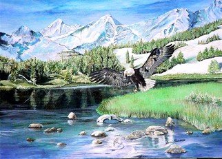 Terri Flowers: 'American Hunter', 2008 Acrylic Painting, Mountains.  Colorado mountains, stream and bald eagle fishing. ...