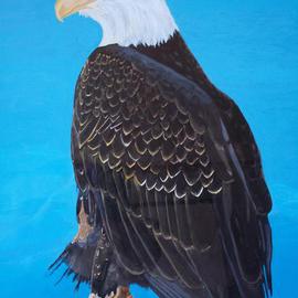 Bald Eagle By Teresa Peterson
