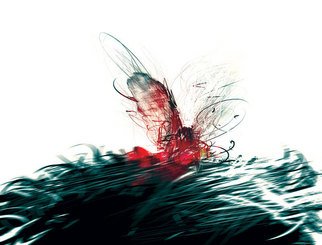 Tinko Dimov: 'butterfly', 2008 Computer Art, Computer. 