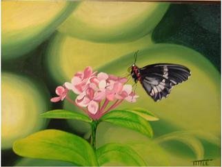 Robert Tittle: 'BUTTERFLY', 2004 Oil Painting, Botanical.  Black Butterfly  ...