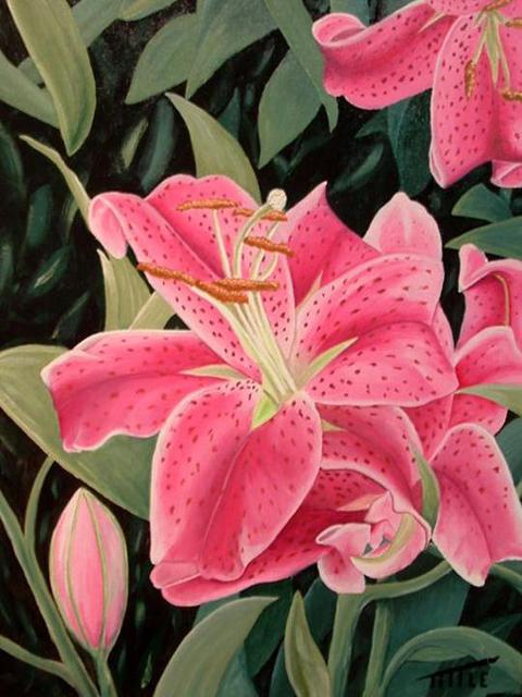 Robert Tittle  'THE LILY', created in 2004, Original Painting Ink.